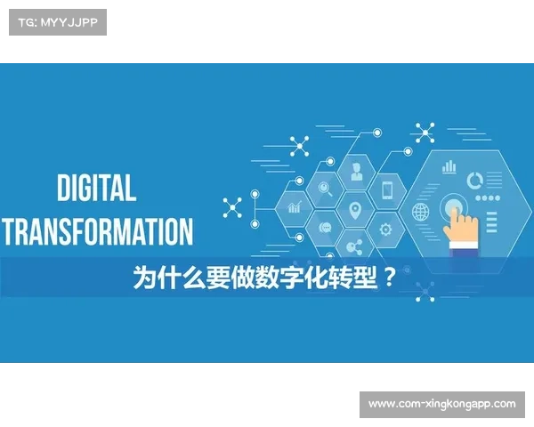 本阶段体育直播运营体系的全面落地 标志着体育媒体产业完成了数字化转型闭环